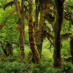 Visit the Lower World.