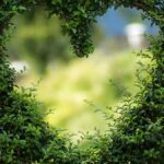 Maximize Love around and within you