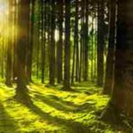 A Peaceful Time In Nature