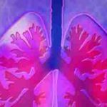 Be Present Within Your Physical Body