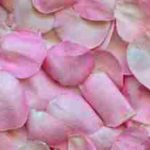 Materialize Love In Your Life Today