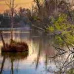 The Sleep Sanctuary Meditation