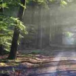 A Simple Relaxation Meditation