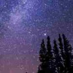 Gliding Into The Dream World