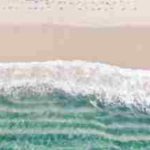  A Pleasant Walk On The Beach