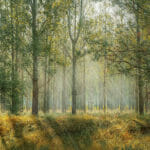 A fun place within Nature