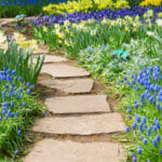 A new encounter that has existed forever