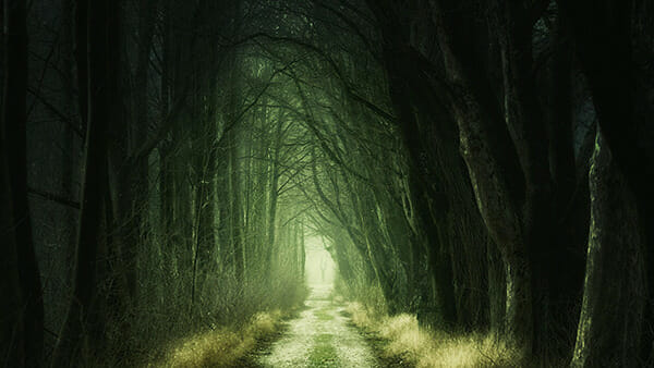 Any path in life can be scary, but this does not mean that you should not walk it.