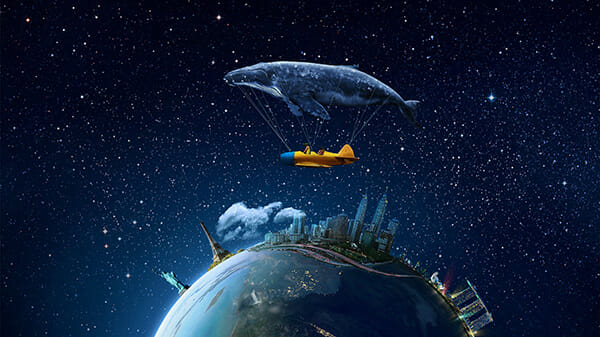 If you see a flying whale, make sure to write it down. in your dream journal. If you see a flying whale, make sure to write it down. in your dream journal.