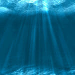 Explore the depths of the sea