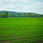 Reuniting with Divine Energies - Deep Relaxation Meditation