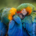 Bring back the love that always was