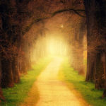 Unlock your light within