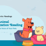 Animal Communication Reading!