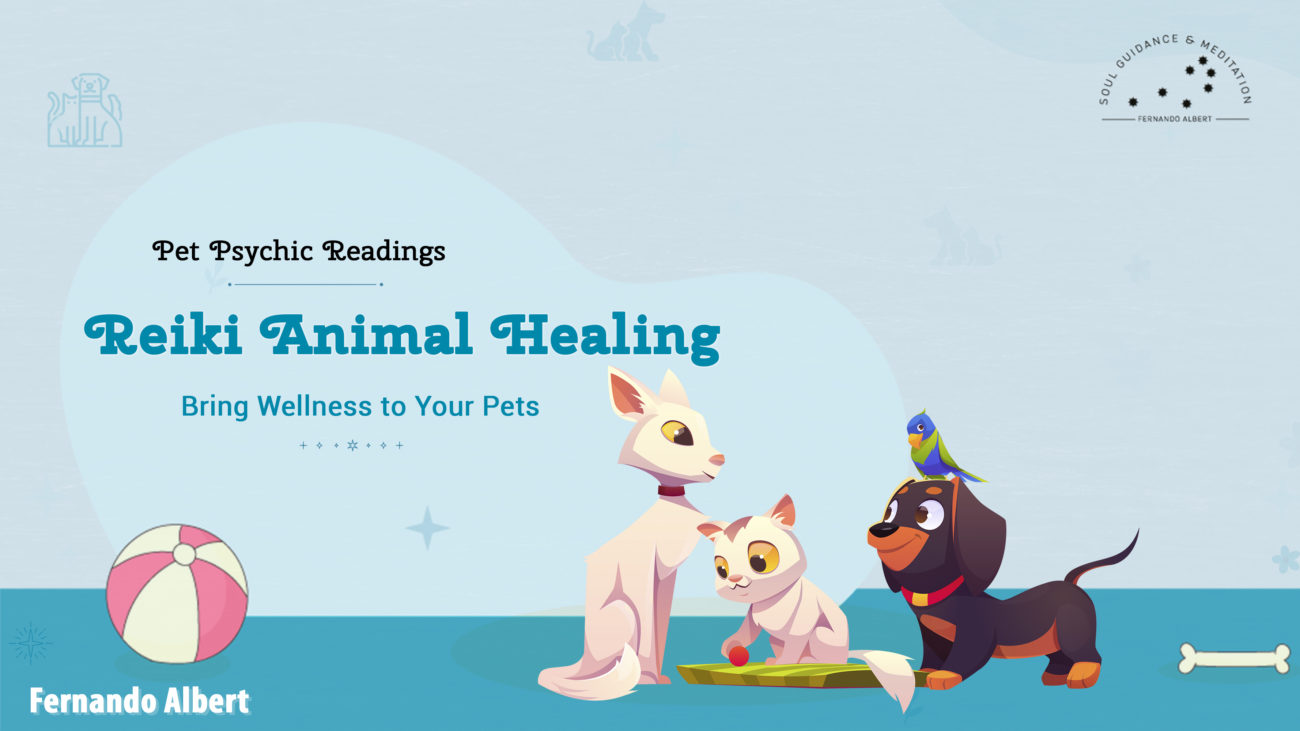 reiki animal healing