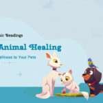 reiki animal healing