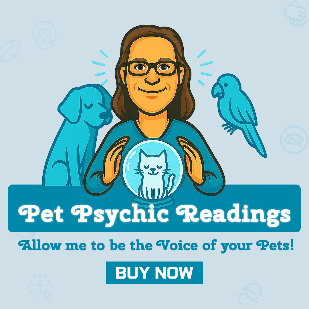 Your Daily Dose of Light 6 Pet Psychic Readings: They Have A Voice Too