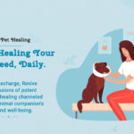 Daily Pet Healing